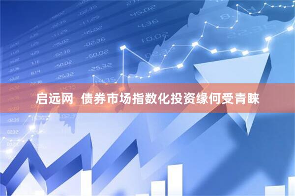 启远网  债券市场指数化投资缘何受青睐