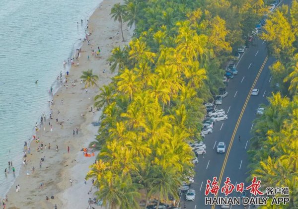 华力网 打卡海南环热带雨林国家公园旅游公路，解锁一场清凉雨林避暑之旅