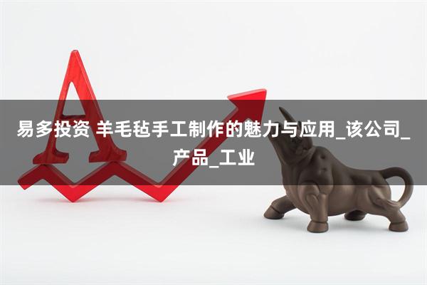 易多投资 羊毛毡手工制作的魅力与应用_该公司_产品_工业