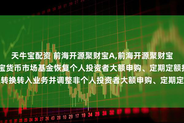 天牛宝配资 前海开源聚财宝A,前海开源聚财宝B: 关于前海开源聚财宝货币市场基金恢复个人投资者大额申购、定期定额投资及转换转入业务并调整非个人投资者大额申购、定期定额投资及转换转入业务限制的公告