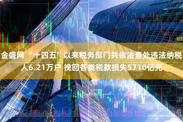 金盛网 “十四五”以来税务部门共依法查处违法纳税人6.21万户 挽回各类税款损失5710亿元