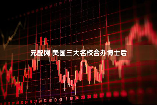 元配网 美国三大名校合办博士后