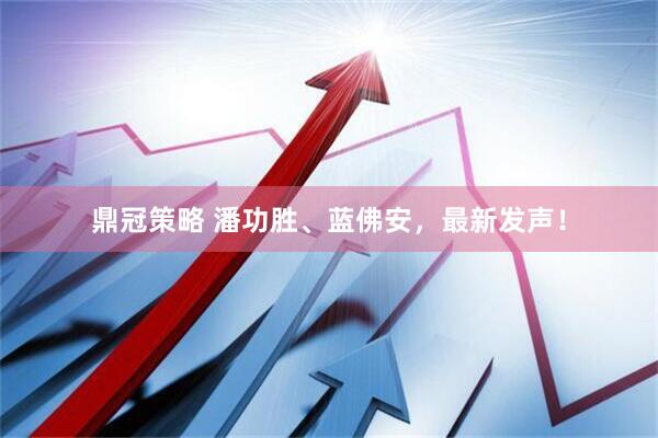 鼎冠策略 潘功胜、蓝佛安，最新发声！