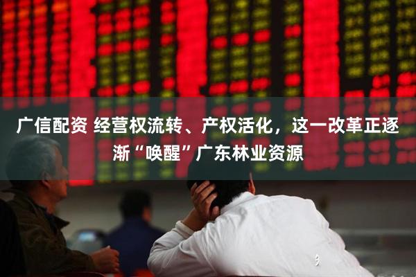 广信配资 经营权流转、产权活化，这一改革正逐渐“唤醒”广东林业资源