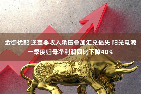金御优配 逆变器收入承压叠加汇兑损失 阳光电源一季度归母净利润同比下降40%